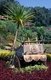 Thailand: Traditional northern ox cart displayed in the garden of a resort in the Mae Sa Valley, near Chiang Mai, northern Thailand